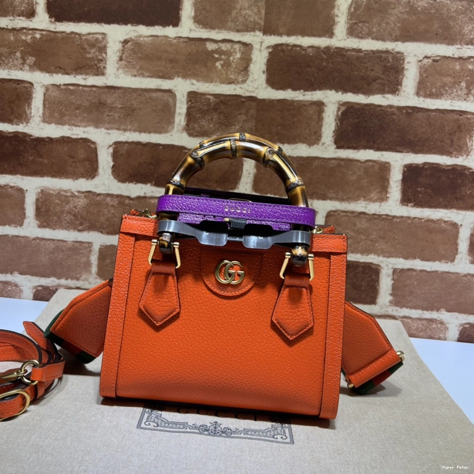 Hyper Peter Diana mini tote Gucci bag 0823